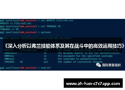 《深入分析以弗兰技能体系及其在战斗中的高效运用技巧》 《深入分析以弗兰技能体系及其在战斗中的高效运用技巧》