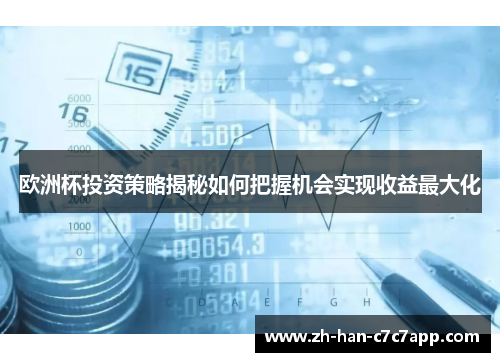 欧洲杯投资策略揭秘如何把握机会实现收益最大化 欧洲杯投资策略揭秘如何把握机会实现收益最大化